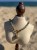 IMG_1660.jpeg