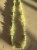IMG_1848.jpeg