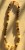 IMG_1845.jpeg